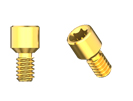 Picture of 10 Pack Prosthetic Screws option for Smart Denture Conversion System for Converting Removable to Fixed Prosthesis product (BlueSkyBio.com)